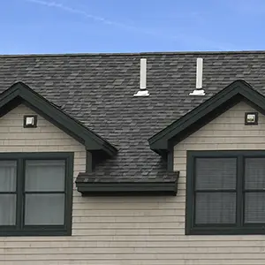 black shingle roof